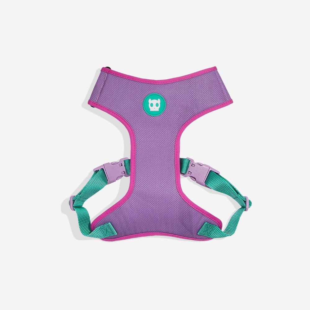ZeeDog Aura Airmesh Harness_0
