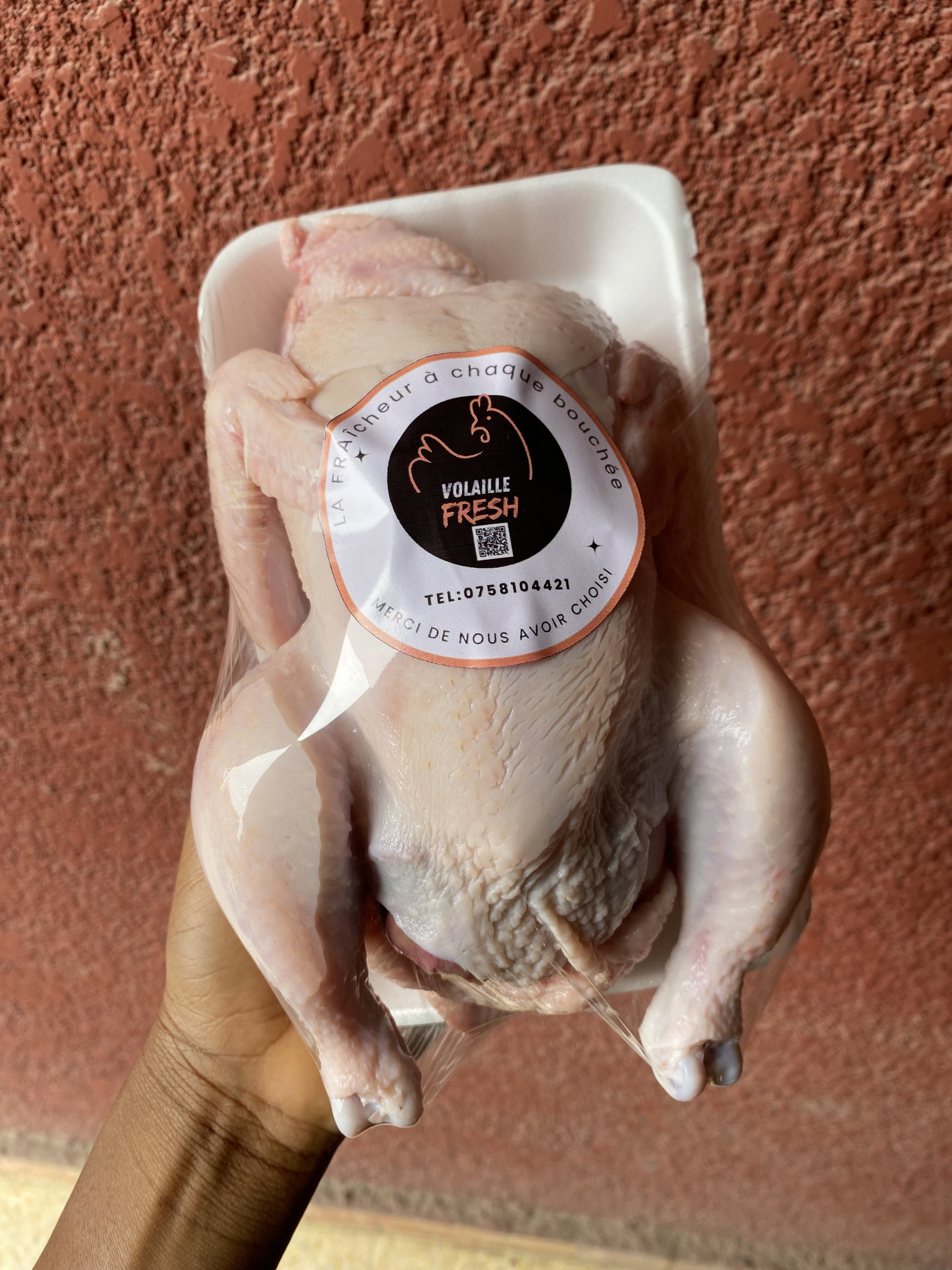 Poulets léger  🐓 _2