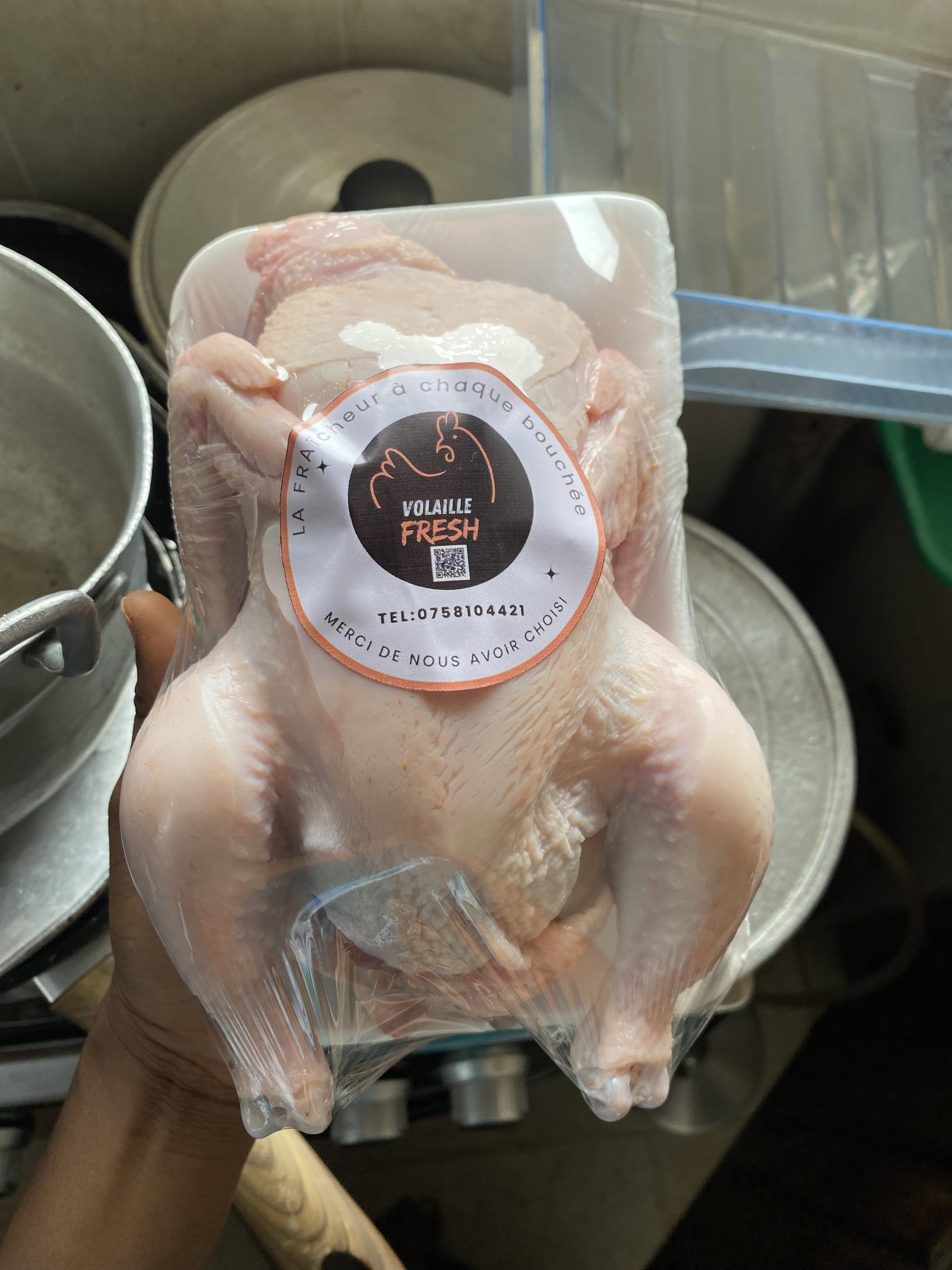 Poulets léger  🐓 _1
