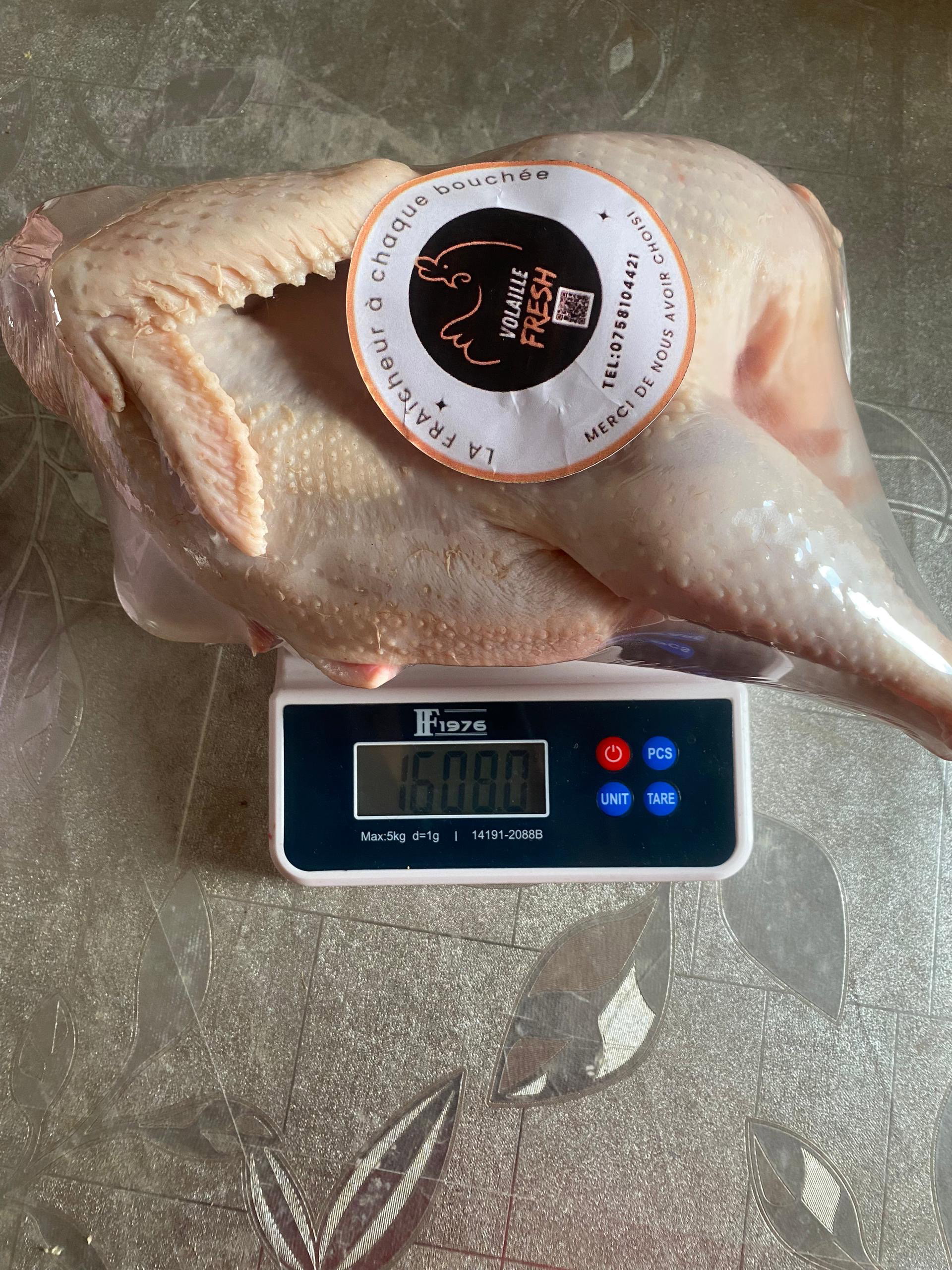 Poulet Pondeuses 🐓 _2