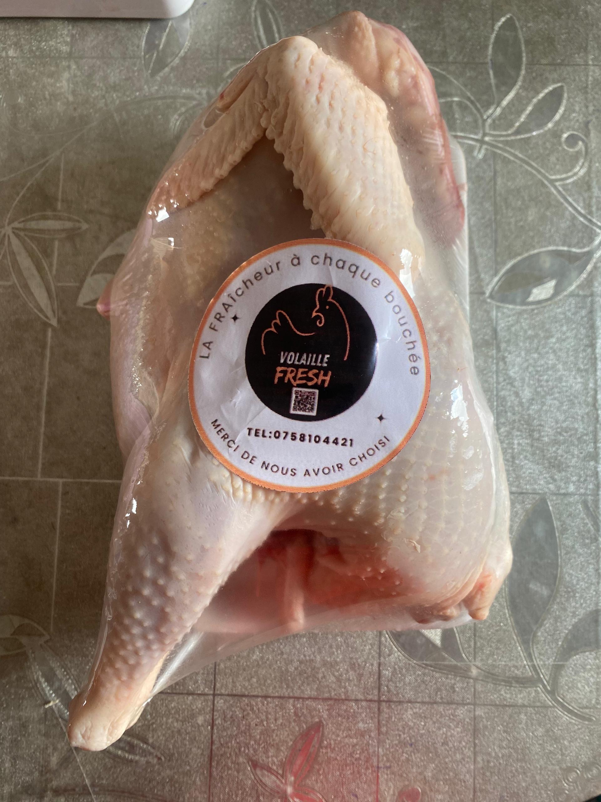Poulet Pondeuses 🐓 _1