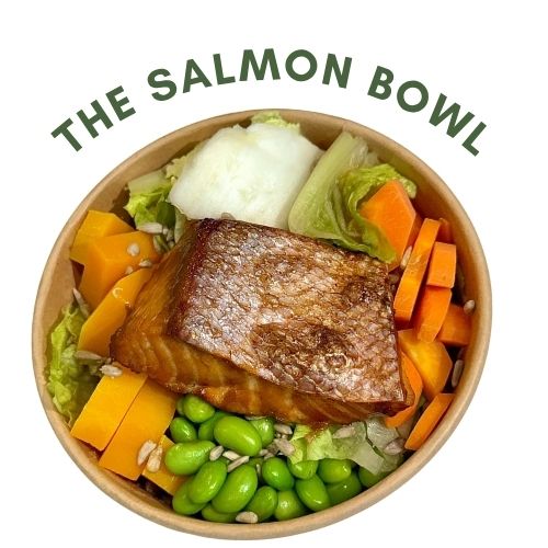 The Salmon Bowl_0