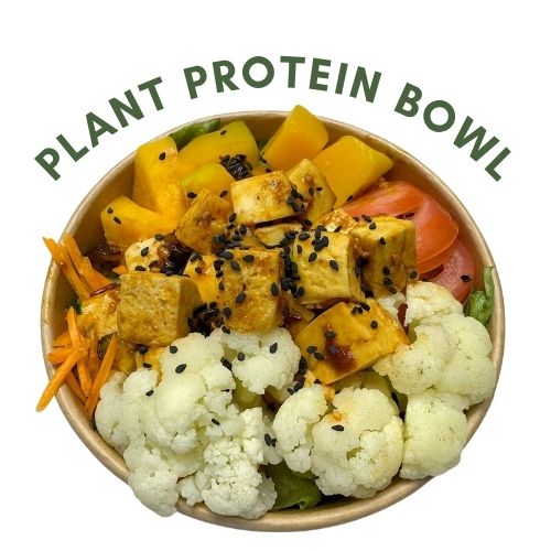 Plant Protein Bowl
