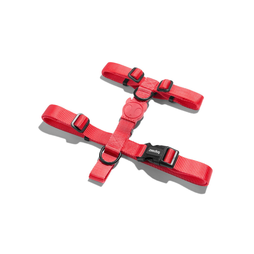 ZeeDog Neon Coral H Harness