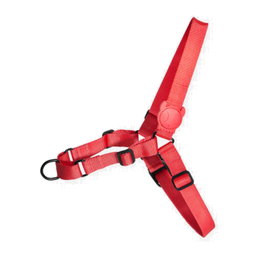 ZeeDog Neon Coral Softwalk Harness