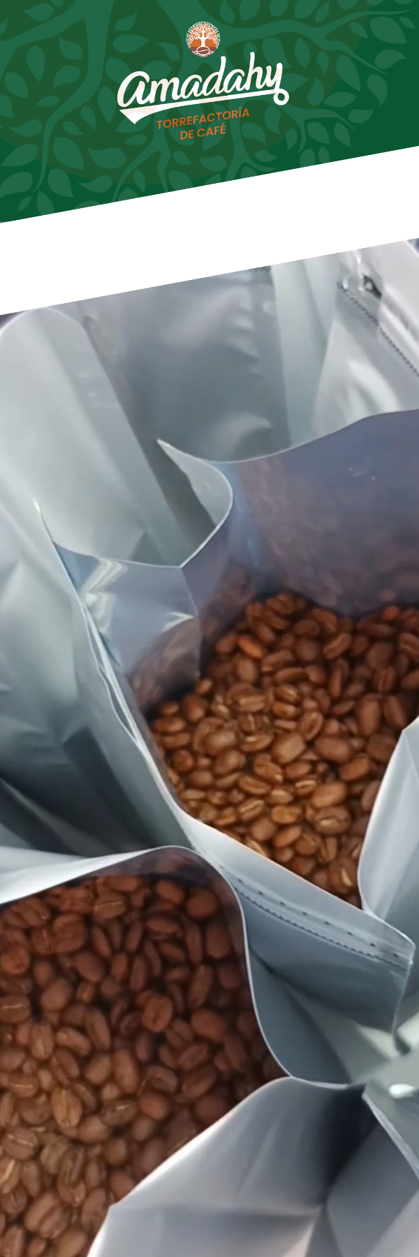 Cafe/01 kilo/Gourmet/Origen/ Lara/Humocaro _3
