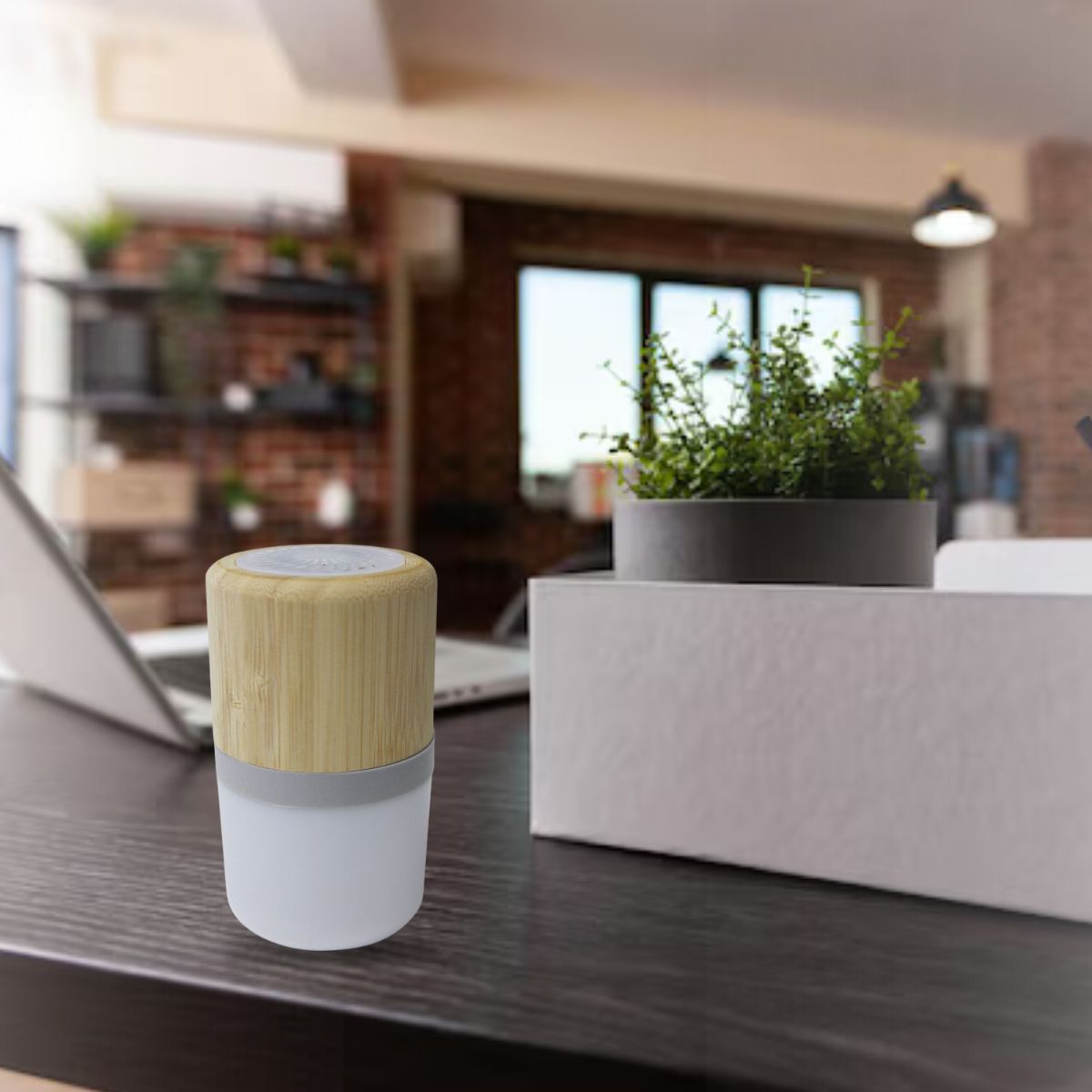 Lemins Bamboo Bluetooth Speaker -Natural_0