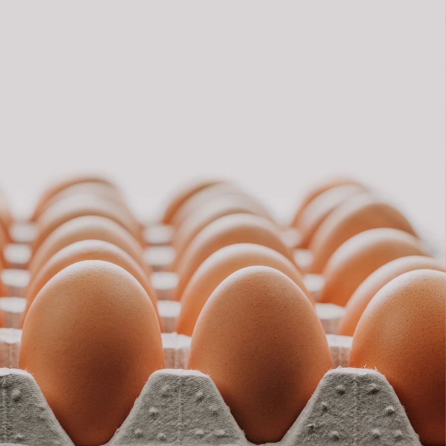 Plaquette d’œuf frais 🥚 🍳