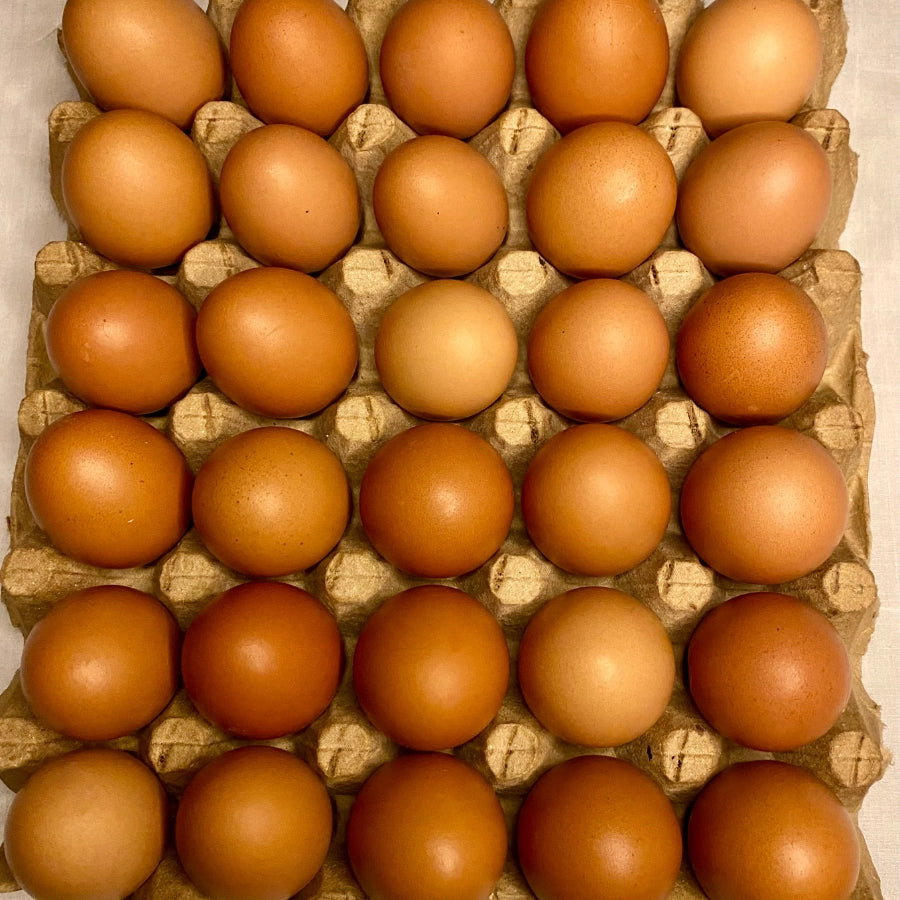 Plaquette d’œuf frais 🥚 🍳 _3