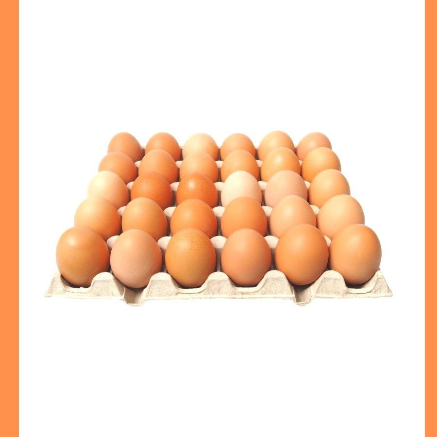 Plaquette d’œuf frais 🥚 🍳 _2