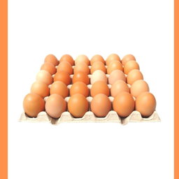 Plaquette d’œuf frais 🥚 🍳 