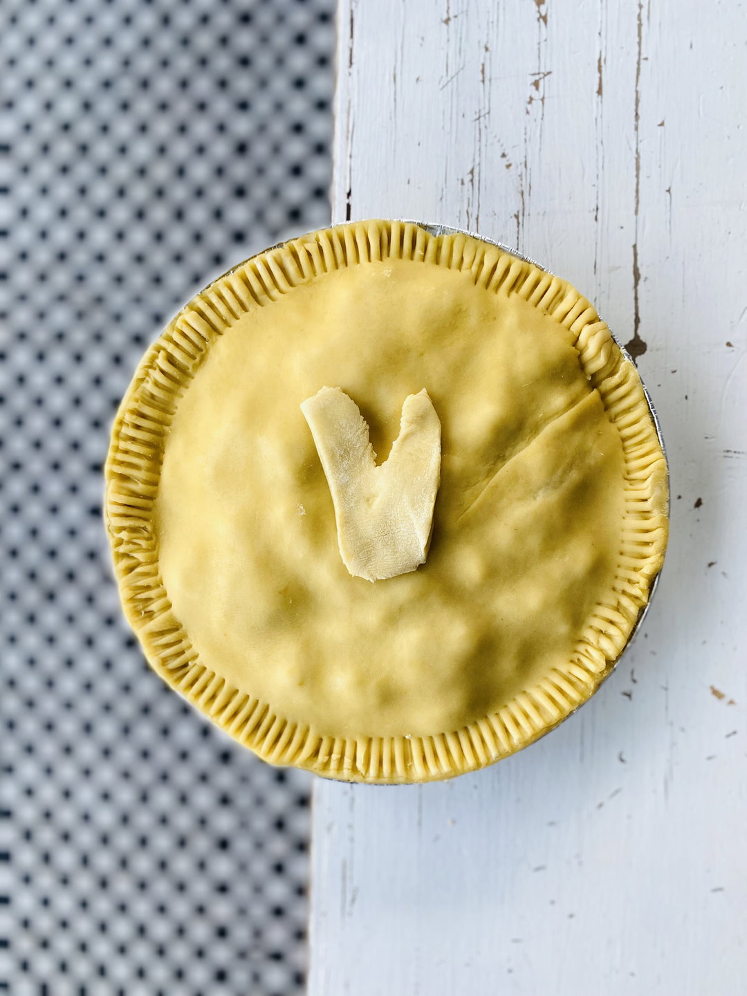 Venison Pie
