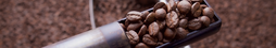 CAFE GOURMET ORIGEN 