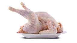 Poulet Coquelet  🐔 