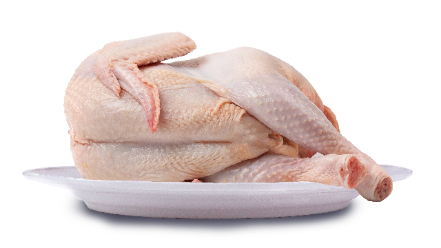 Poulet hybride 🐓