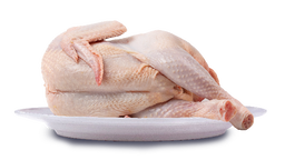 Poulet hybride  🐓 