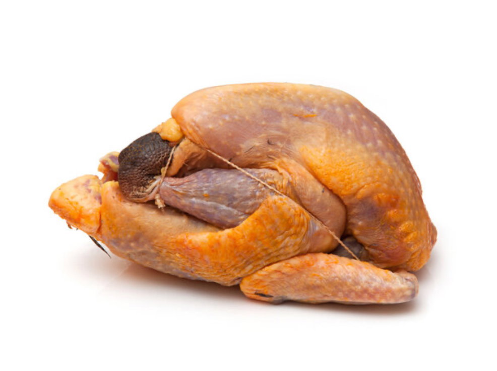 Pintade Africain _0