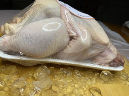 Poulet standard 