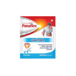 PANAFLEX COOL PATCH 8CM*6CM 