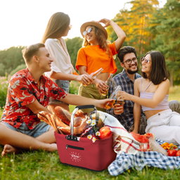 Compatto Foldable Picnic Basket - Blue