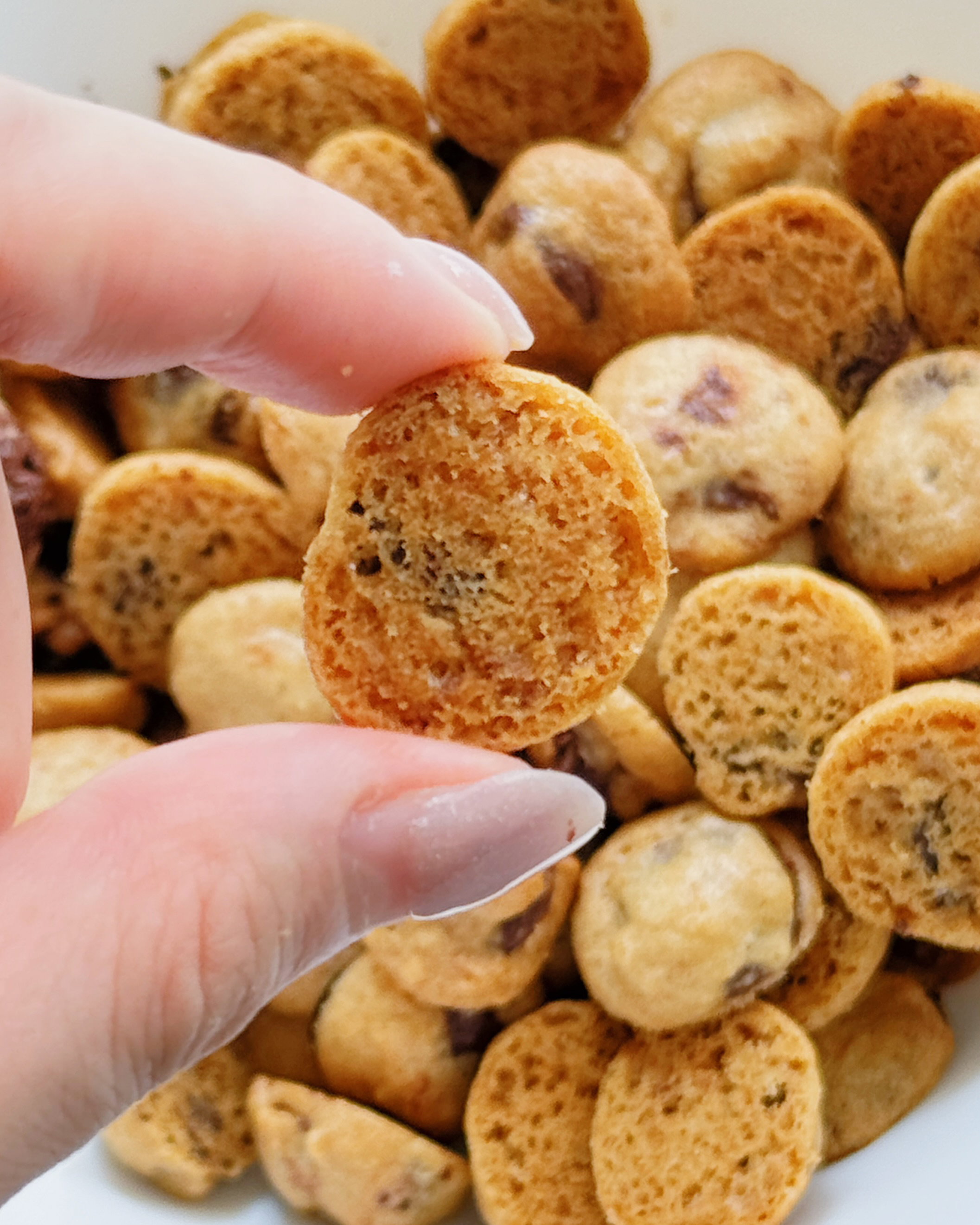 Milo Malt Cookie Bites