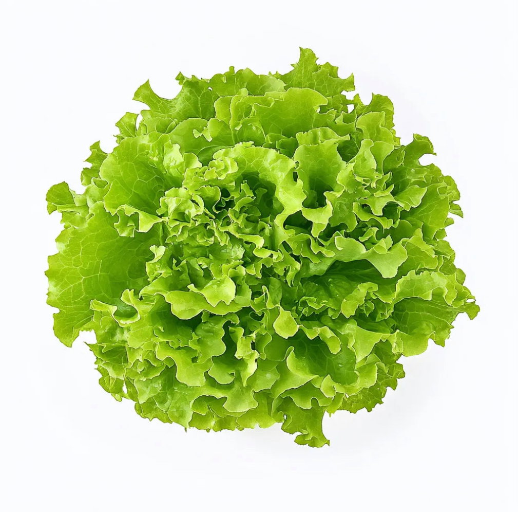 Salade ( laitue 🥬 )_0