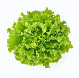 Salade ( laitue 🥬 )