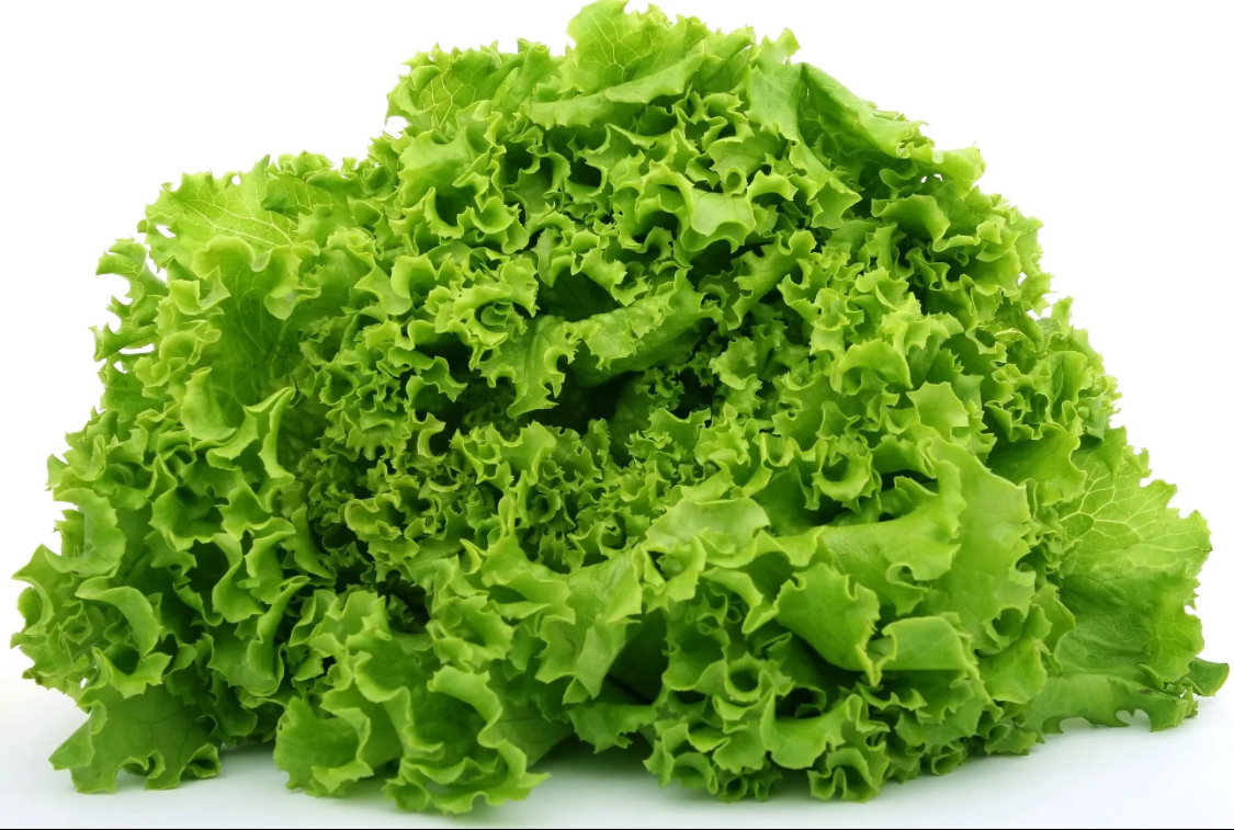 Salade ( laitue 🥬 )_1