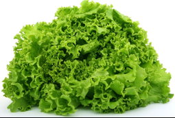 Salade ( laitue 🥬 )
