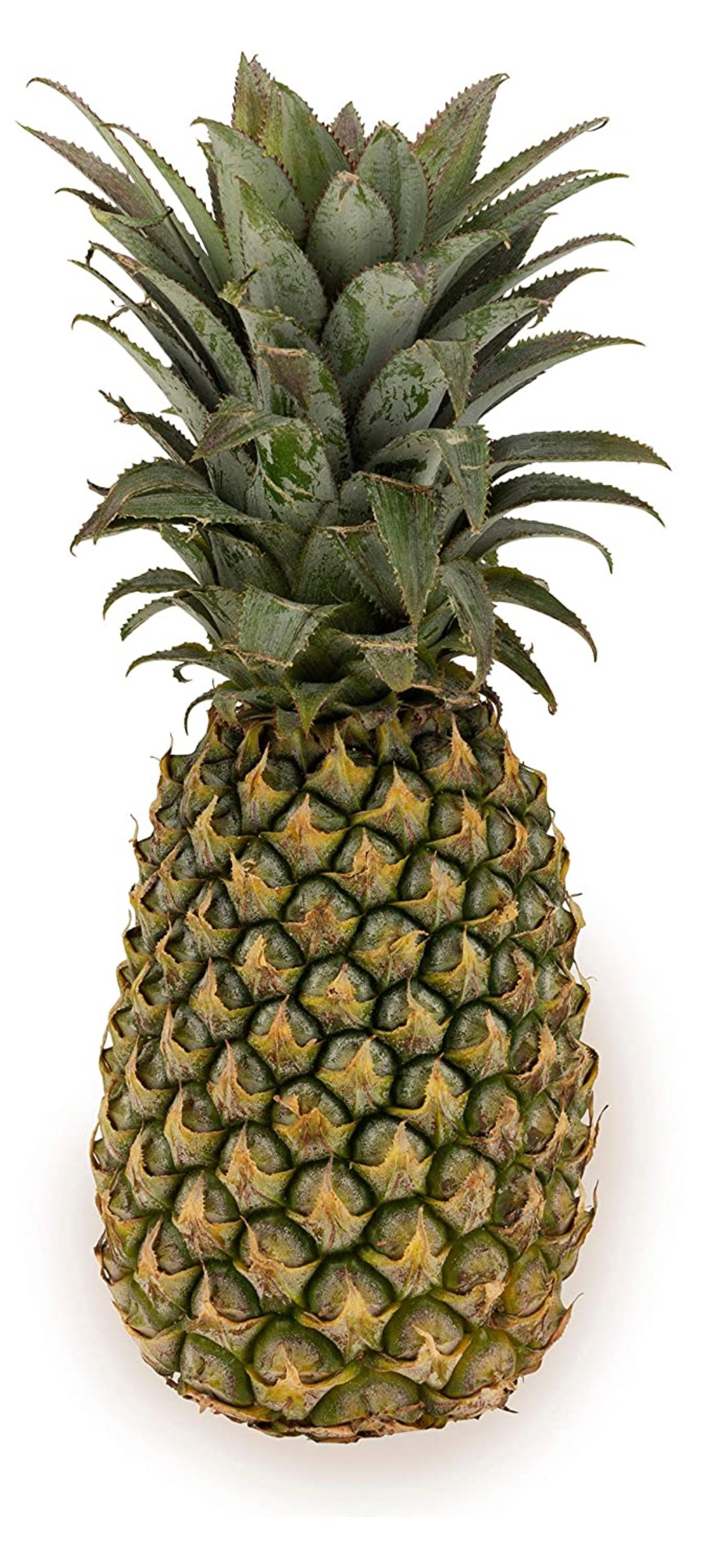Pineapple 1 pc