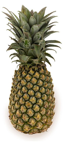 Pineapple 1 pc