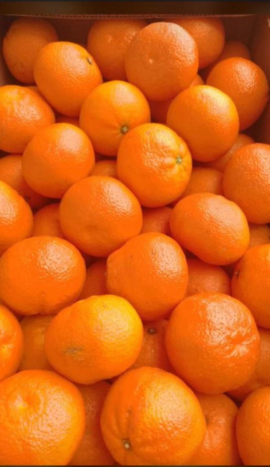 Tangerine 500 g_0