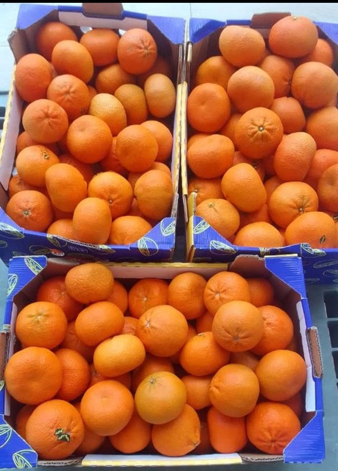 Tangerine 1 kg_0