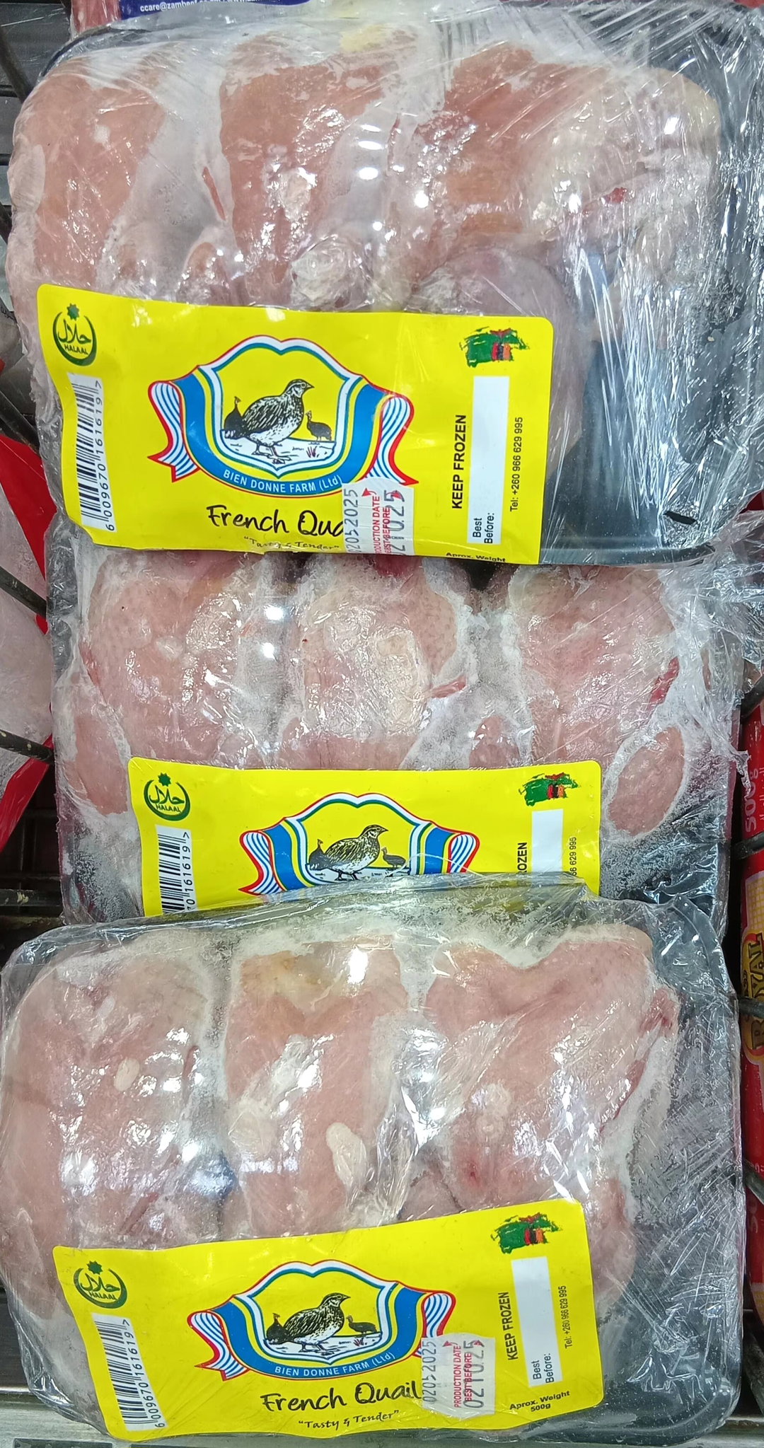 Frozen French Quail Local 1pcs