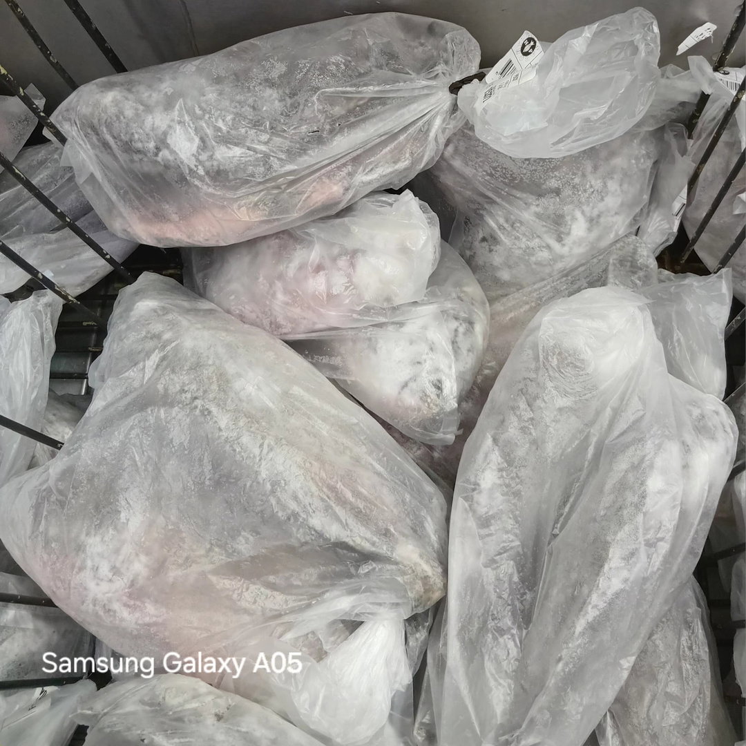 Tilapia 500-800 G.M 1kg