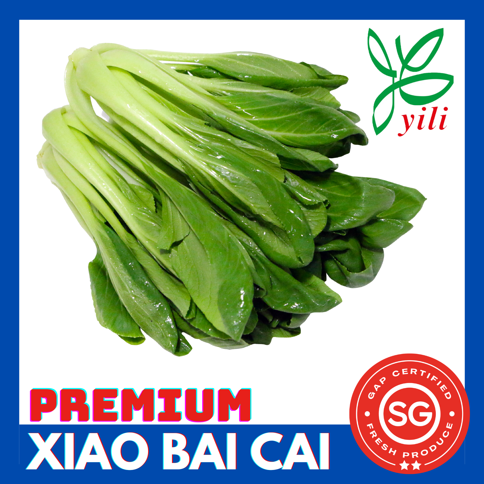 SG Locally Grown - Fresh Premium Xiao Bai Cai 小白菜_0