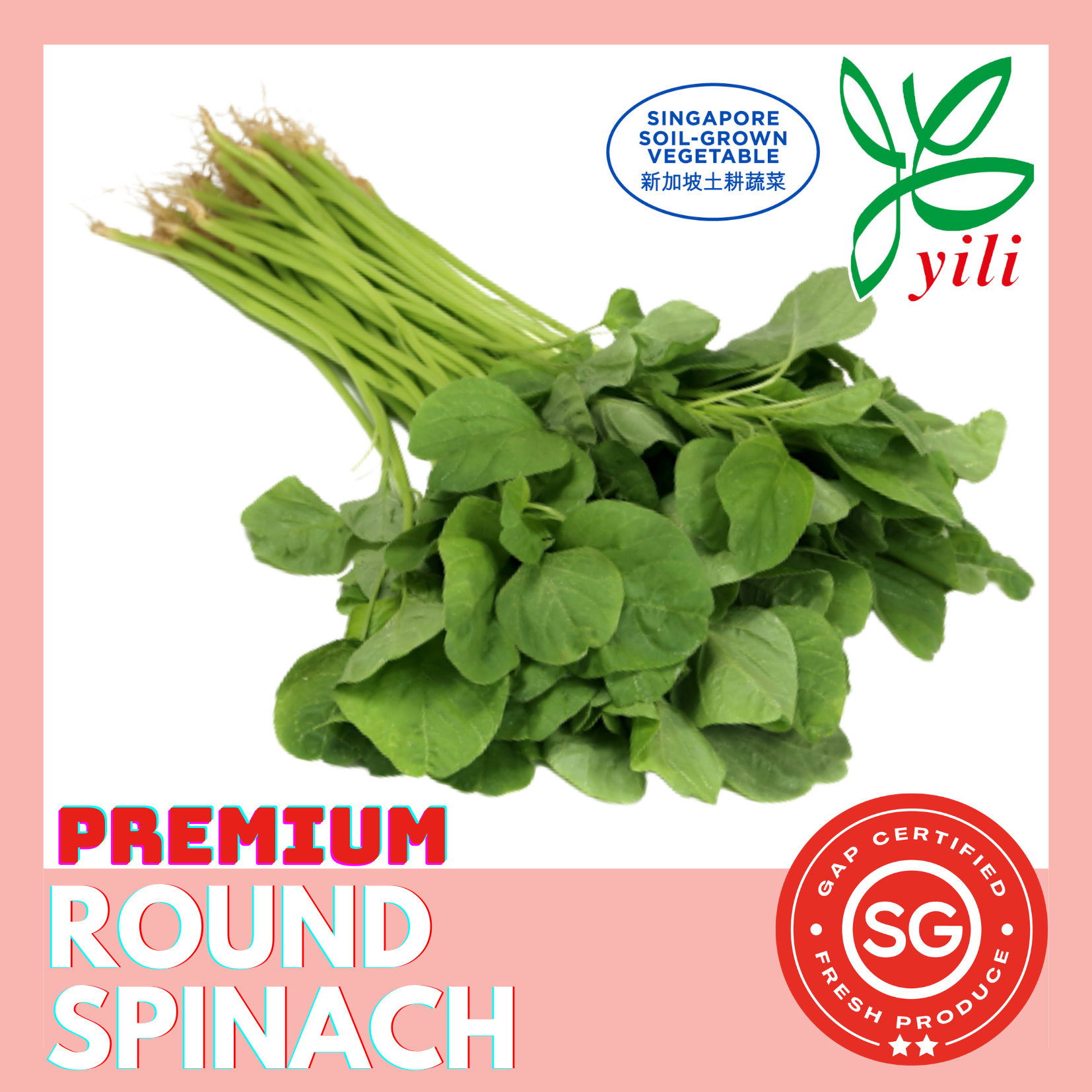SG Locally Grown - Fresh Premium Round Spinach 圆头苋菜_0