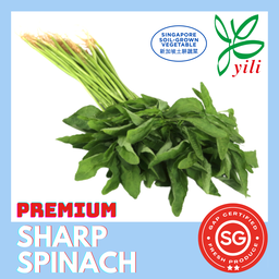 SG Locally Grown - Fresh Premium Sharp Spinach 尖头苋菜