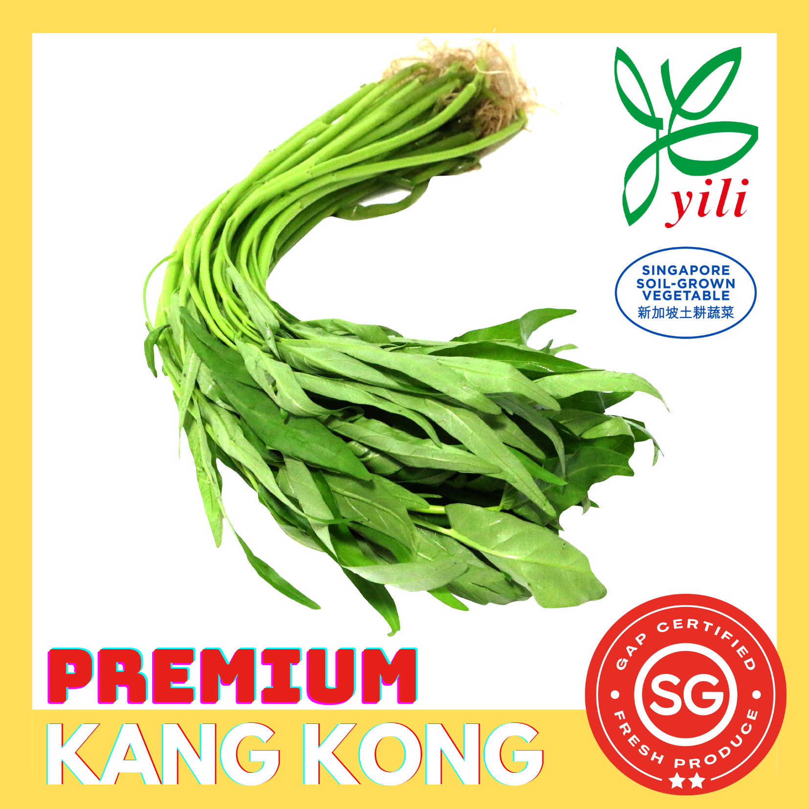 SG Locally Grown - Fresh Premium Kang Kong 蕹菜_0