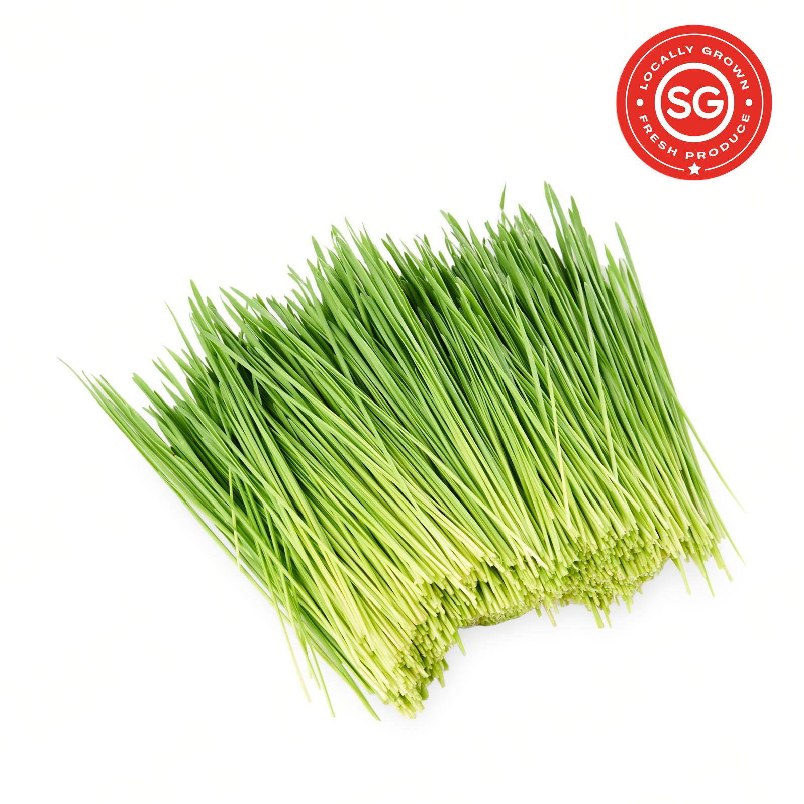 SG Locally Grown - Fresh Premium Wheatgrass 新鲜小麦草_0