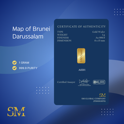 SM 1g Map of Brunei