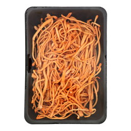 Fresh Cordyceps 蟲草花 