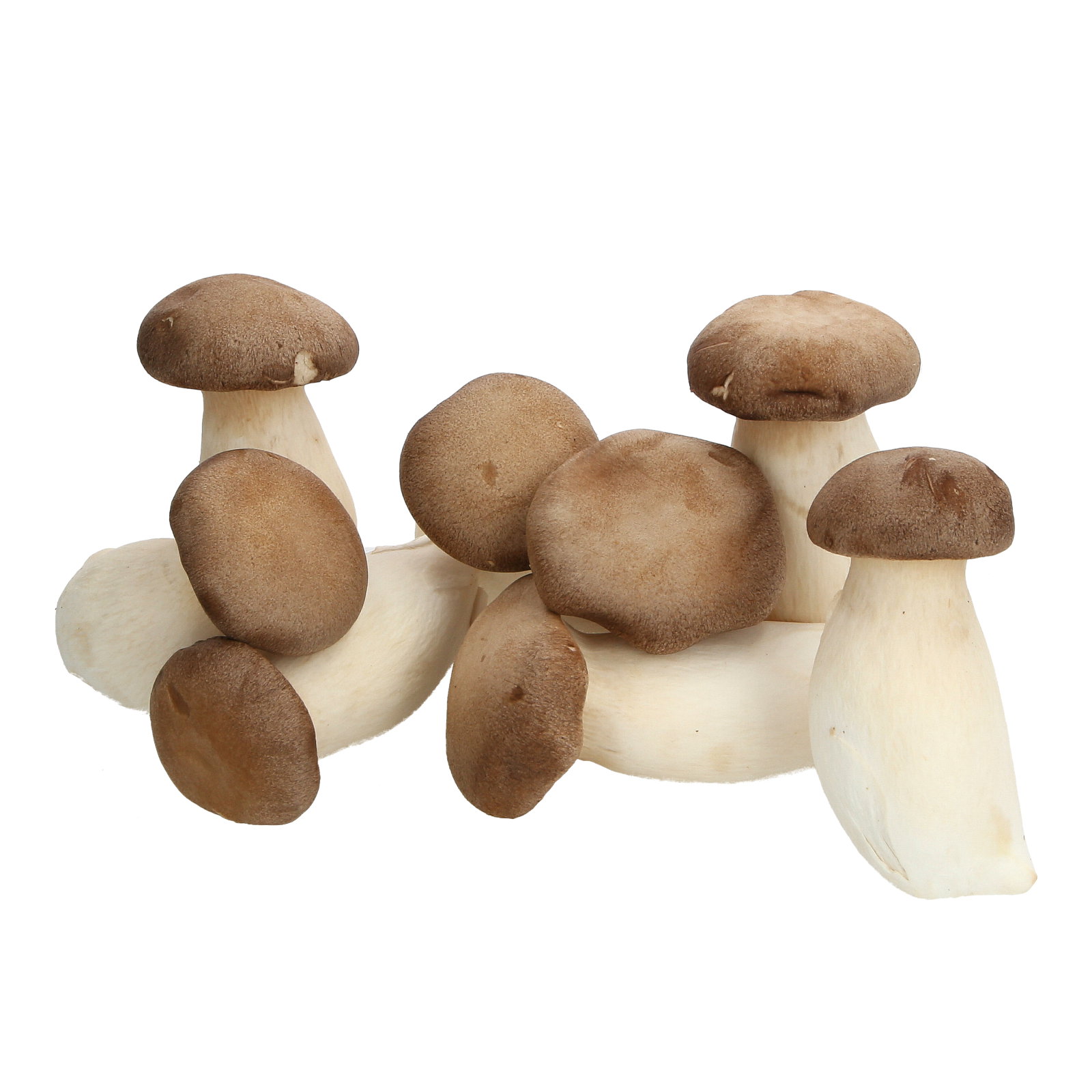 Fresh King Oyster Mushroom 杏鲍菇_0