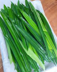 Pandan Leaf