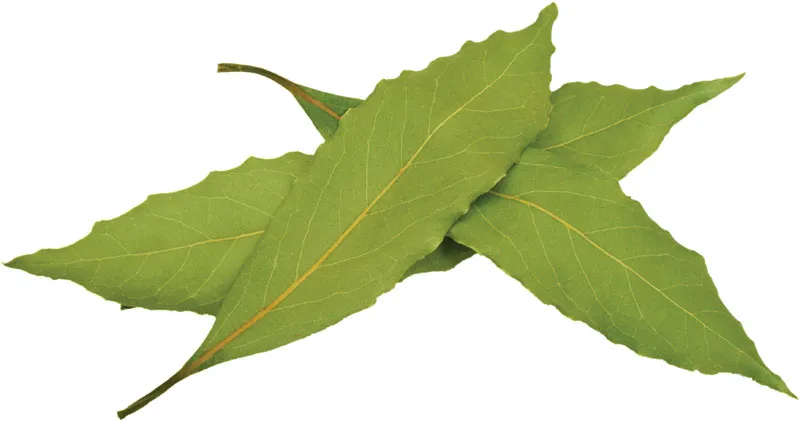 Bay Leaves 50g