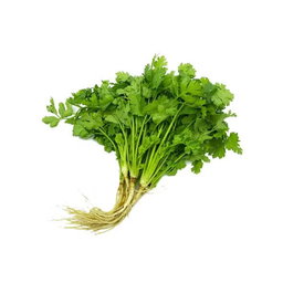 Coriander Lao 100g