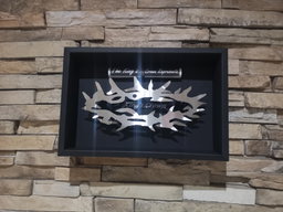 Indoor Wall Mounted King's Crown 