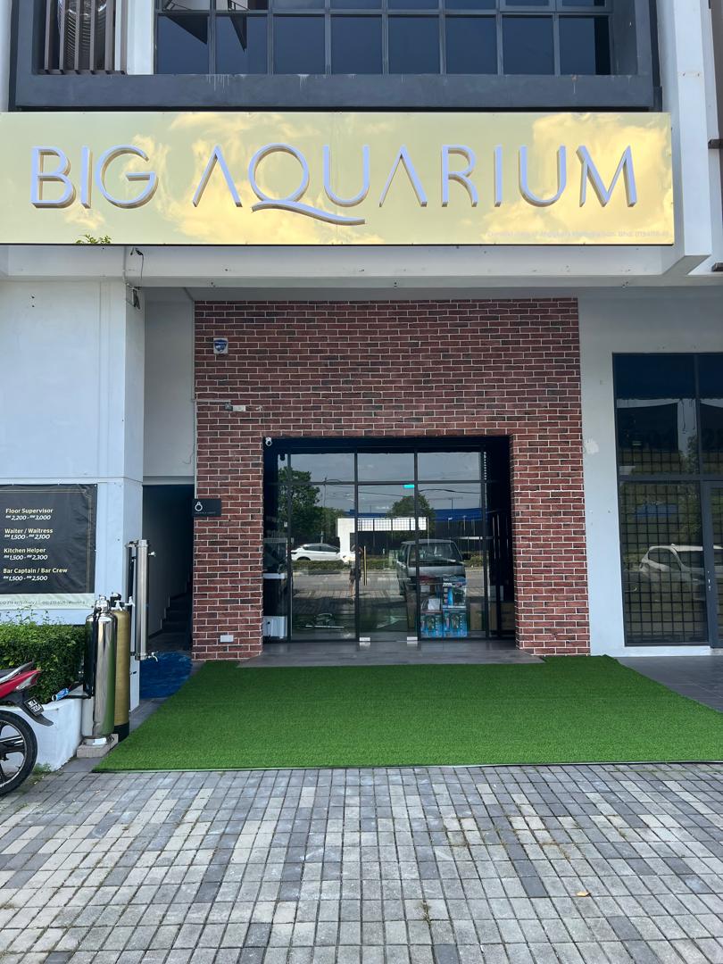 Store Front_2