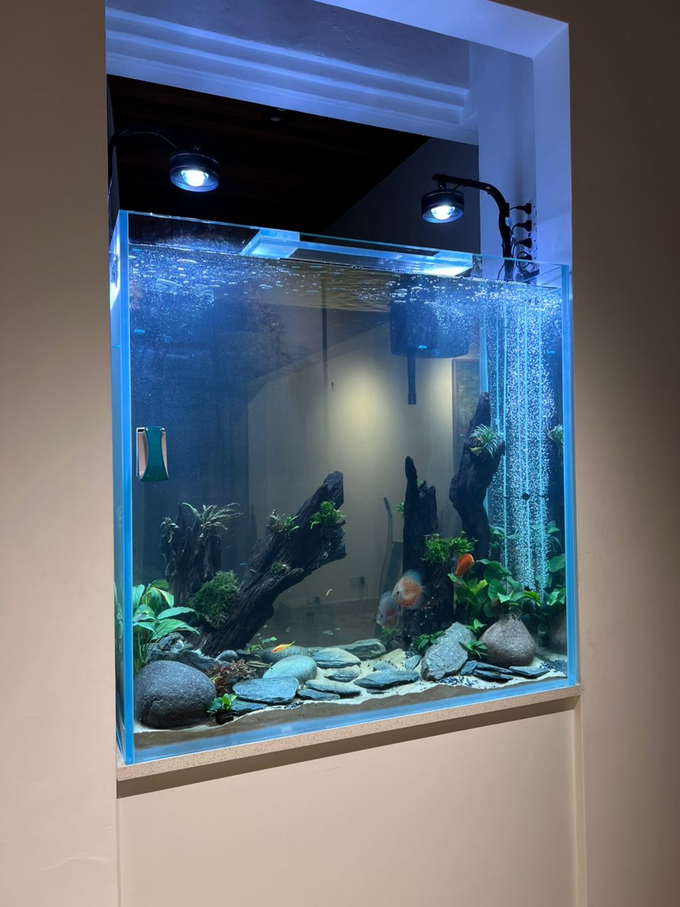 Custom Aquarium_5