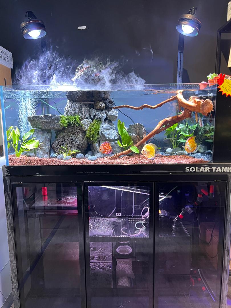 Aquarium Aquascape_9